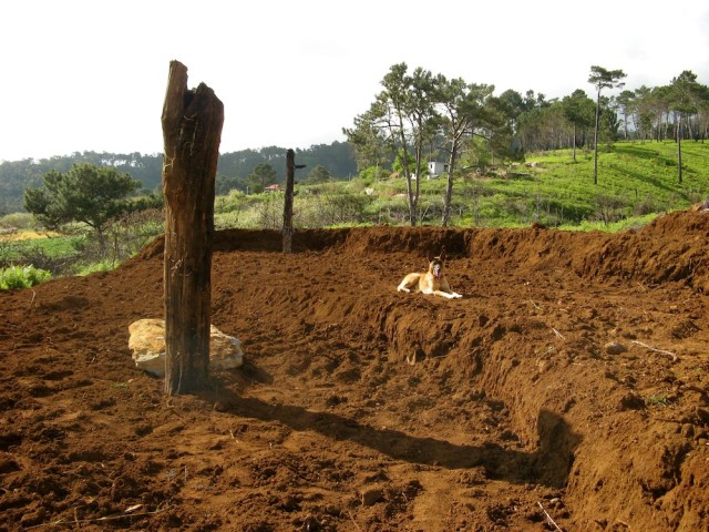 Magiczna Oaza stworzona przez Marie Bucardi