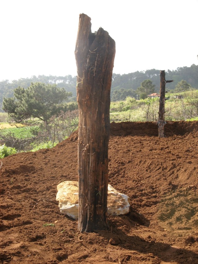 Magiczna Oaza stworzona przez Marie Bucardi