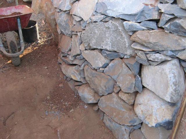 Magiczna Oaza schronienie dla jaszczurek