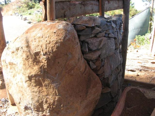 Magiczna Oaza Dom dla jaszczurek