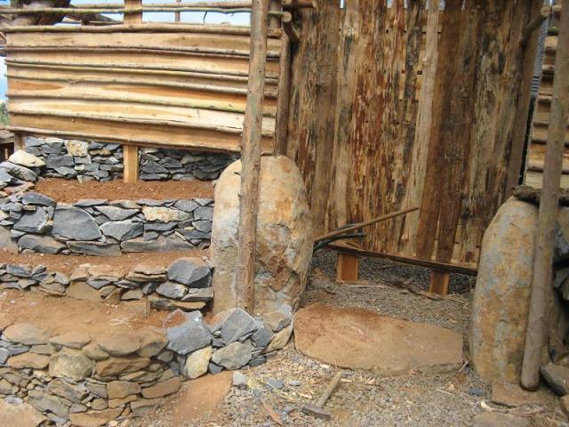 Magiczna Oaza Dom dla jaszczurek