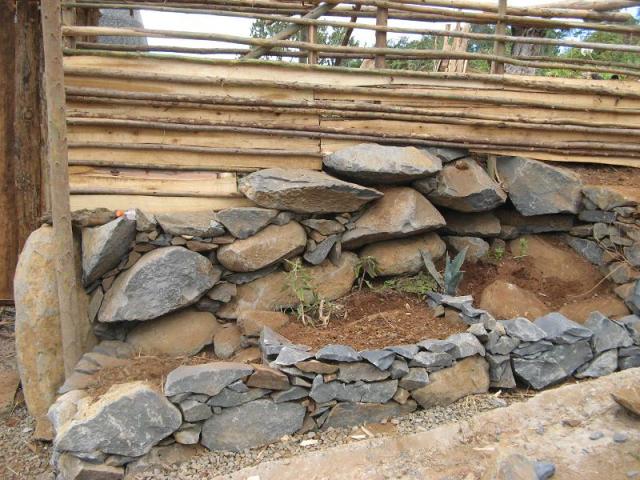 Magiczna Oaza  Akcja - Dom dla jaszczurek