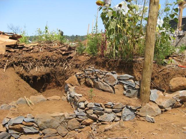 Magiczna Oaza - Akcja - Dom dla jaszczurek