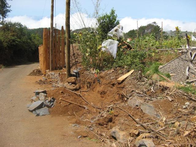 Magiczna Oaza - Akcja - Dom dla jaszczurek