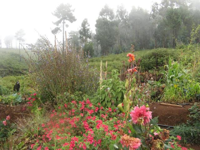 po pierwszym deszczu w Magicznej Oazie