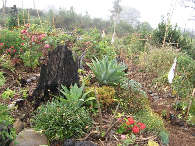 w Magicznej Oazie po pierwszym deszczu