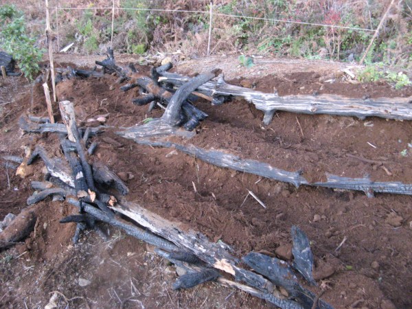 Magiczna Oaza Marii Bucardi