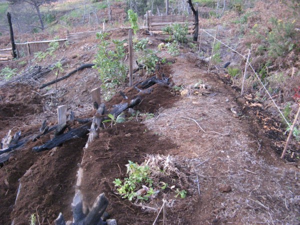 Magiczna Oaza Marii Bucardi