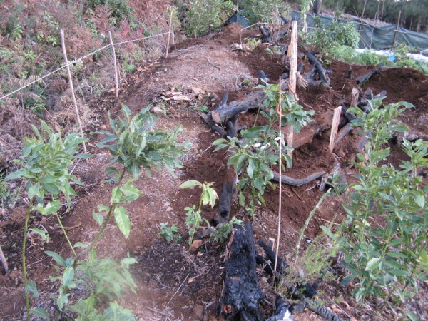 Magiczna Oaza Marii Bucardi