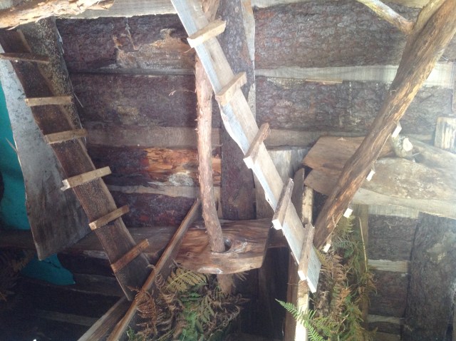 magiczna_oaza_kurczaczki