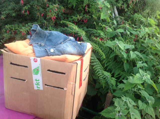 magiczna_oaza_kurczaczki3