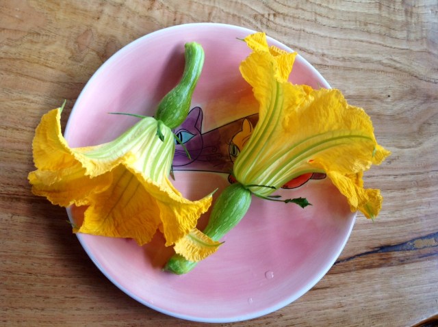 weganskie_sniadanie_kwiat_dyni1